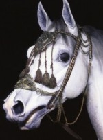 Türckische Cammer, Foto: Staatliche Kunstsammlung Dresden Türckische Cammer, Foto: Staatliche Kunstsammlung Dresden